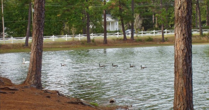 Rv Resort Myrtle Beach Sc Rv Resort Myrtle Beach Sc
