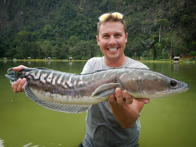 Giant Snakehead fishing in Thailand - Bushguide 101