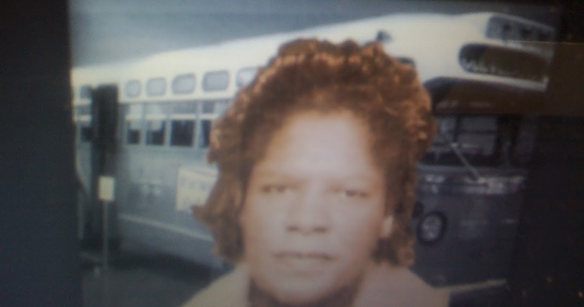 THE BLACK SOCIAL HISTORY BLACK SOCIAL HISTORY AFRICAN AMERICAN