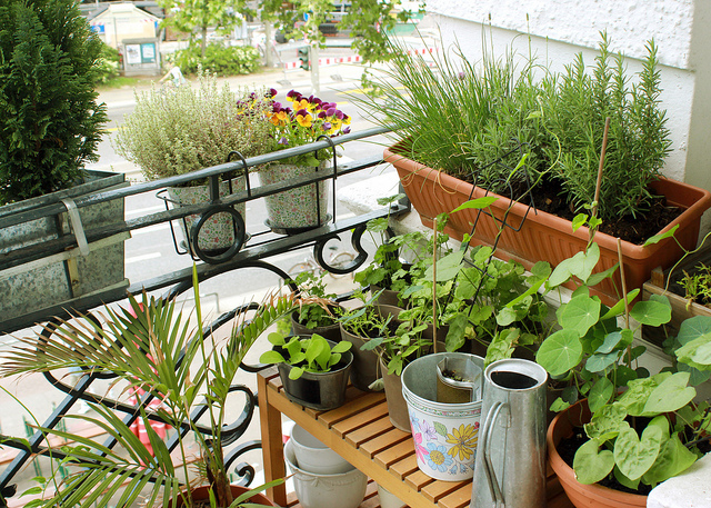 15 lindas sacadas de apartamentos cheias de plantas
