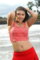 Ranjitha, hot, navel, and, cleavage, pictures