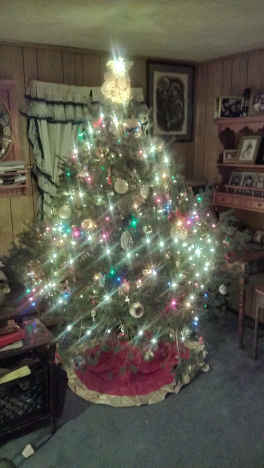 bryonyseries yay we put our christmas tree up last night bryonyseries yay we put our christmas tree up last night