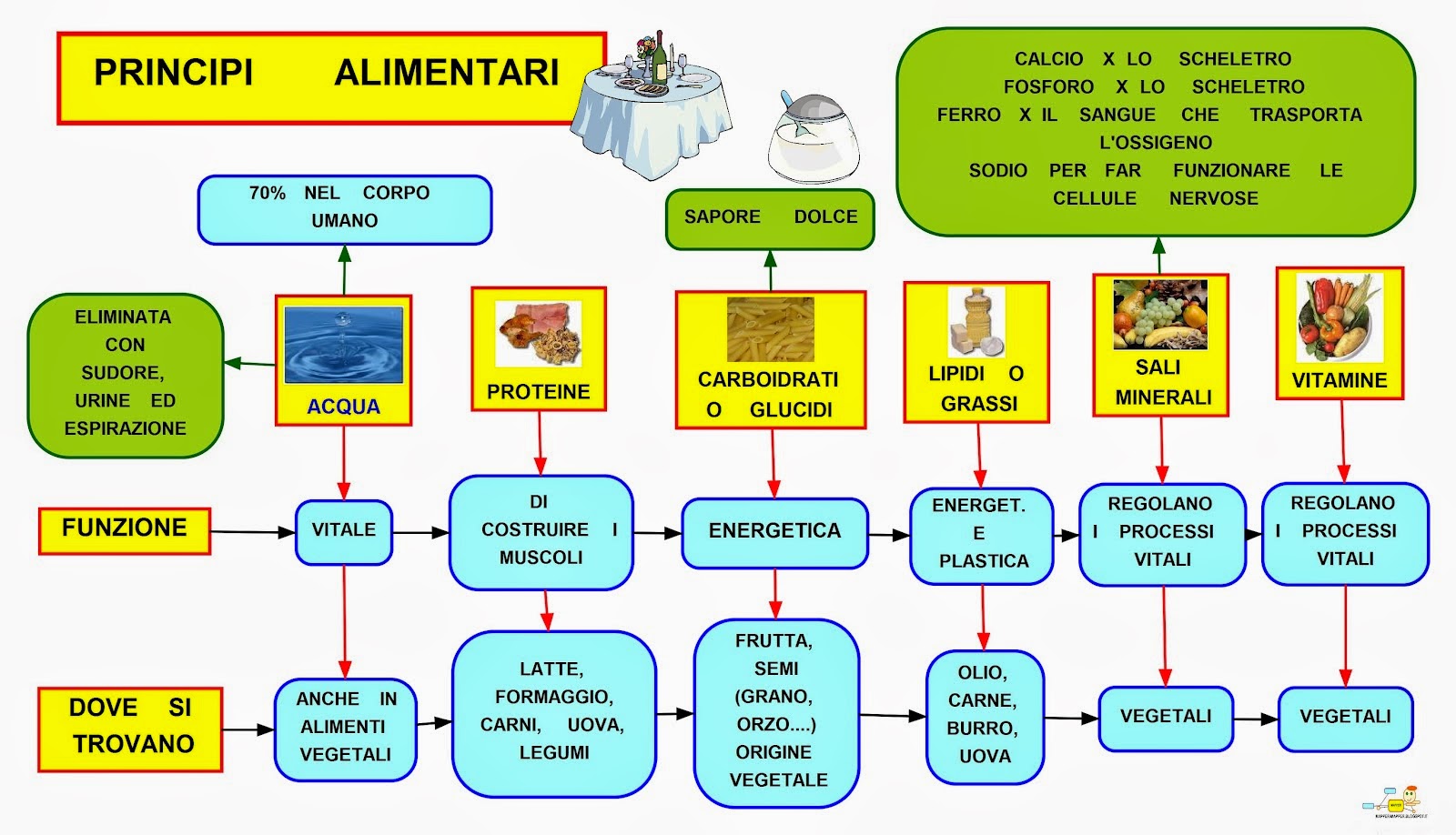 gli alimenti che contengono proteine