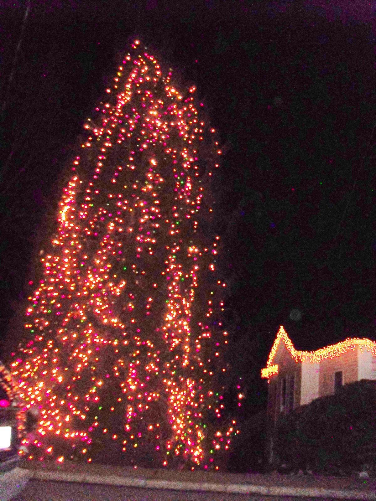 Travel NC With Kids McAdenville NC See an Entire Town Decked Out in