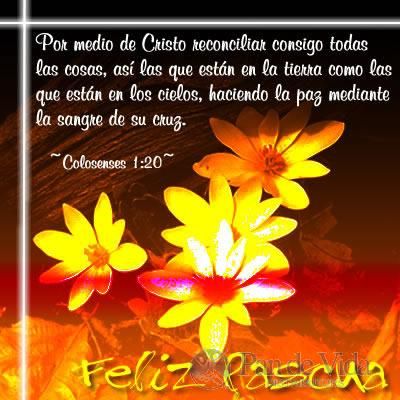 Cristianos paz perdonar regalar bibliaenlinea imagenescristianas Imágenes De Navidad Y Año Nuevo: Jesús Nuestro Mejor Regalo En Navidad