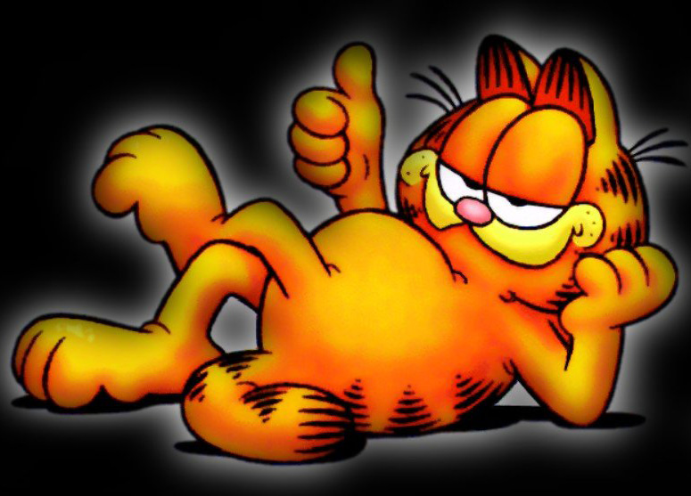 Walt Disney Animal Garfield The Cat Cartoon Wallpaper