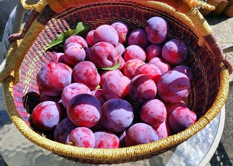 QT's Random Ramblings: Recipe: Crock-Pot Reduced-Sugar Plum Jam