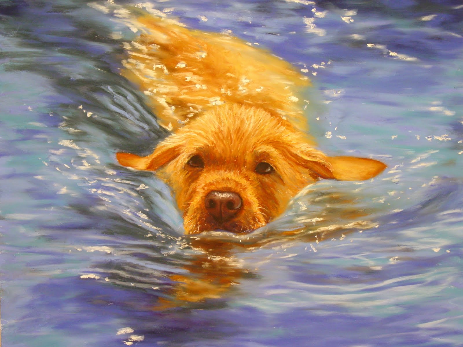 Doggie Paddle