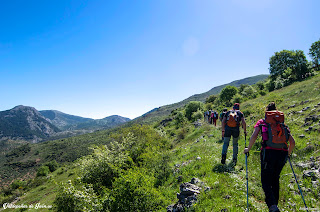 Al fondo la Sierra de Ventisqueros Al fondo la Sierra de Ventisqueros