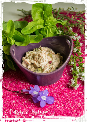 © Popote et Nature - Rillettes croquantes de saumon à la scandinave