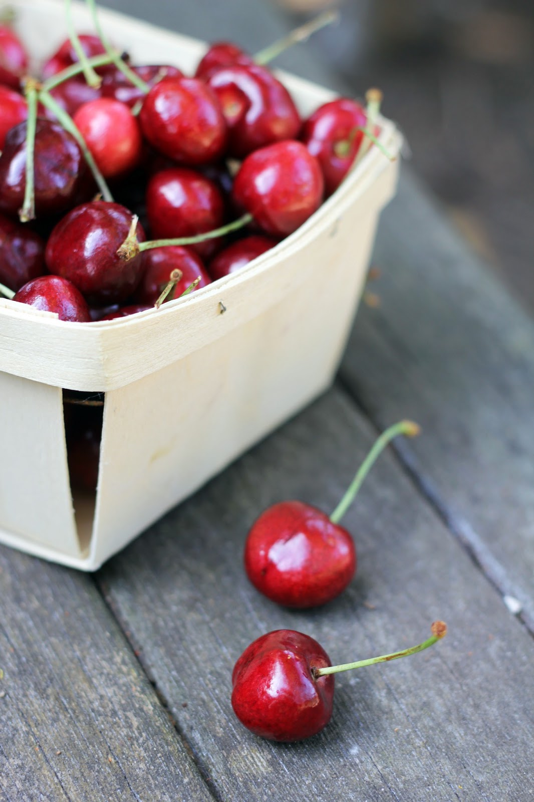Cherry Mint Shrub Methow Arts
