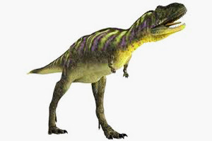 sauropod dinosaur sauropod dinosaur