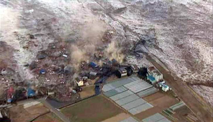 Tsunami live in japan