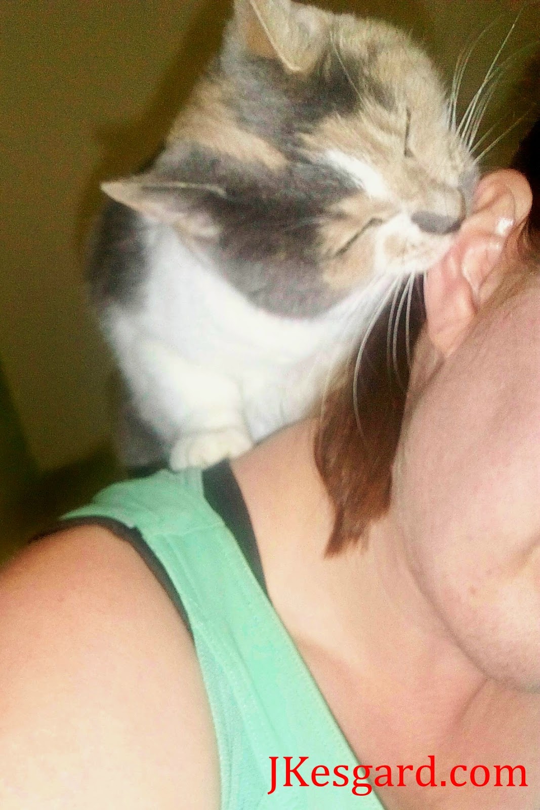 My calico cat is biting through my ear