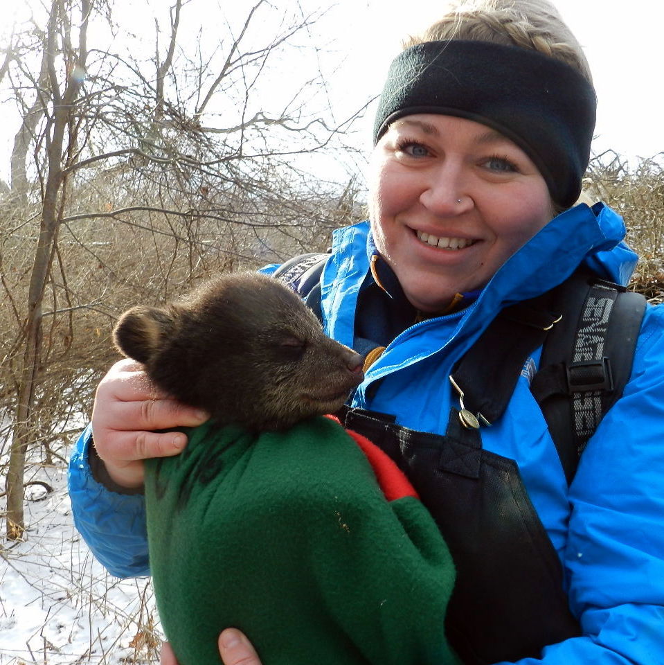Nature in a Nutshell Black bear den season, part I