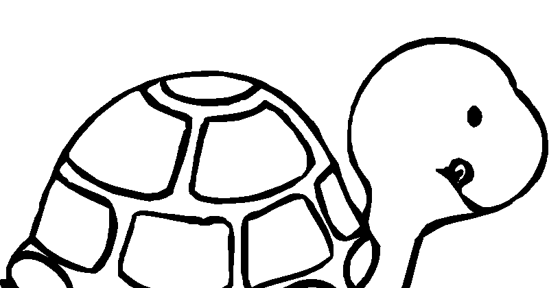 MISS ALINA'S CLASS: 2ND GRADE "SCIENCE REVIEW 2" NOVEMBER 28TH