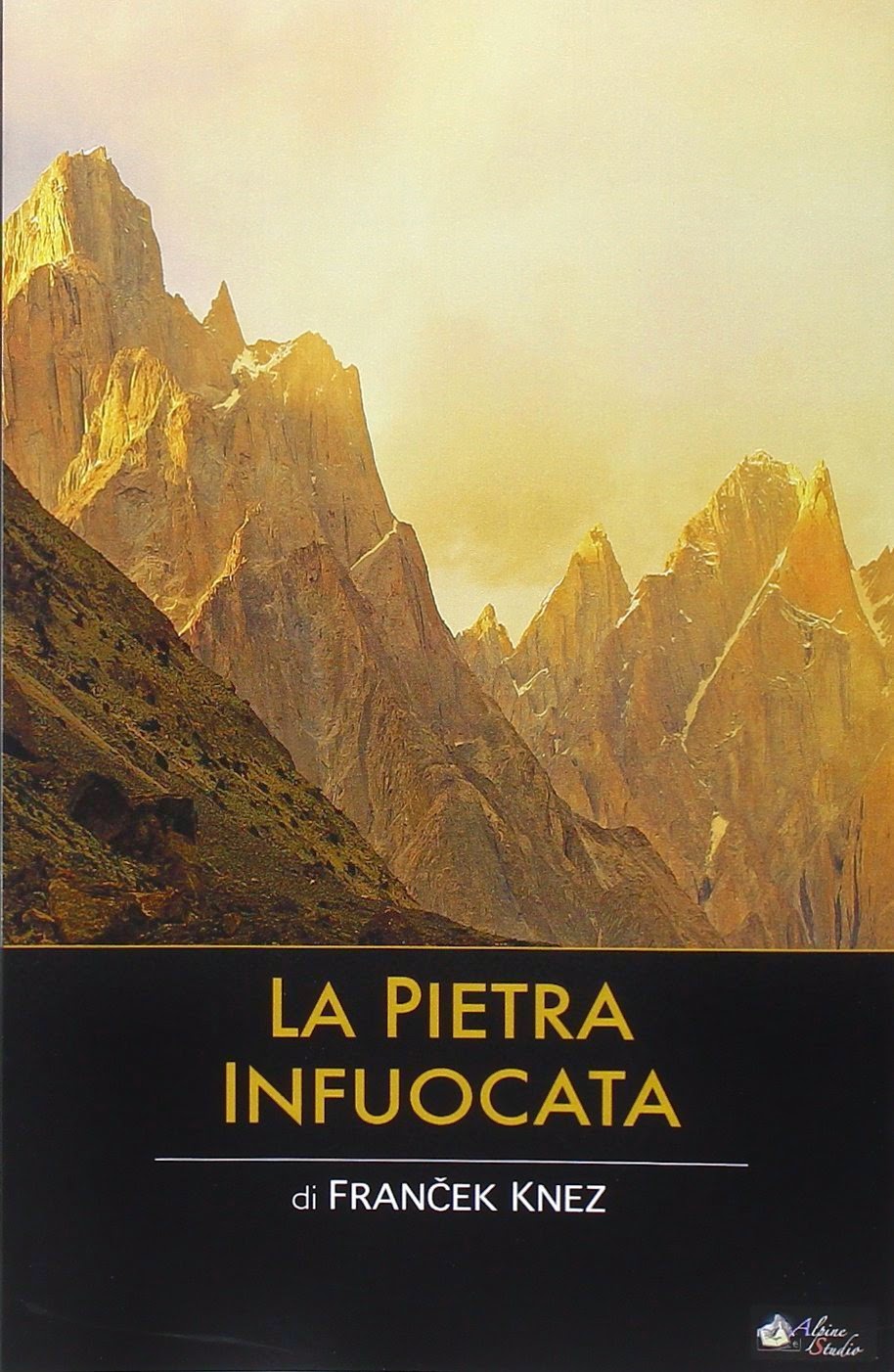 Immagine