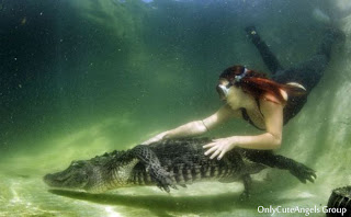 Ashley Lawrence Gator Boys Panties