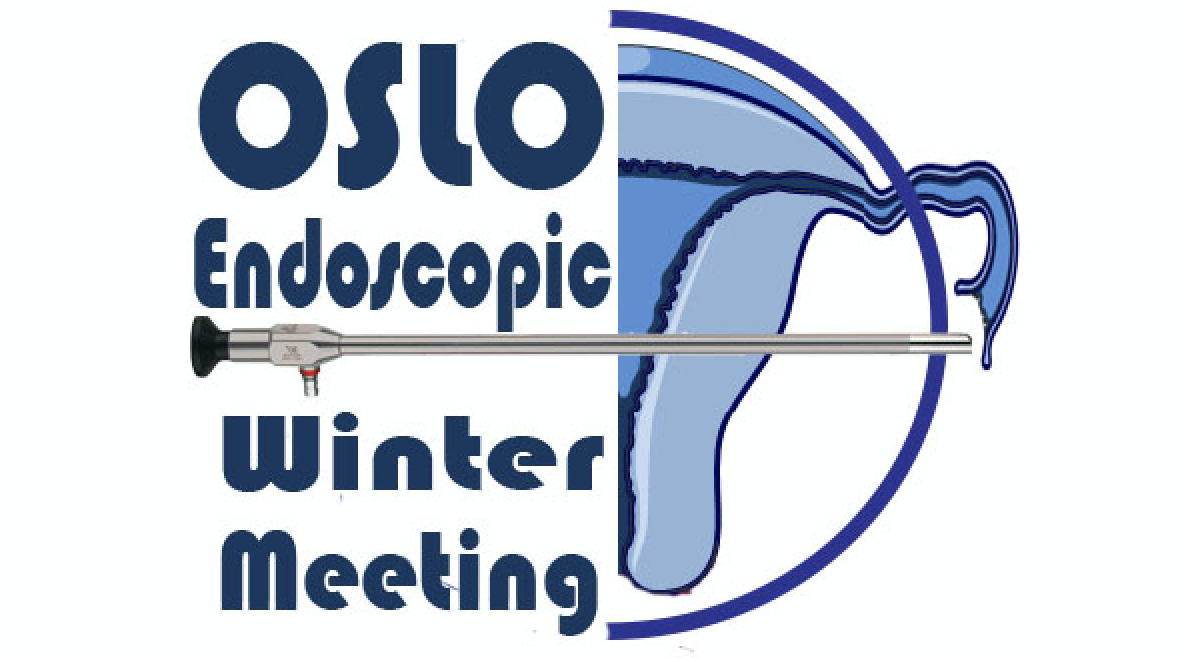 Oslo Endoscopic Winter Meeting