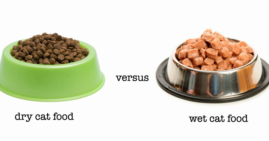 what cat food is the healthiest what cat food is the healthiest