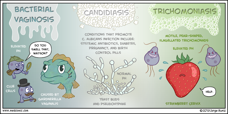 medical: candidiasis b...