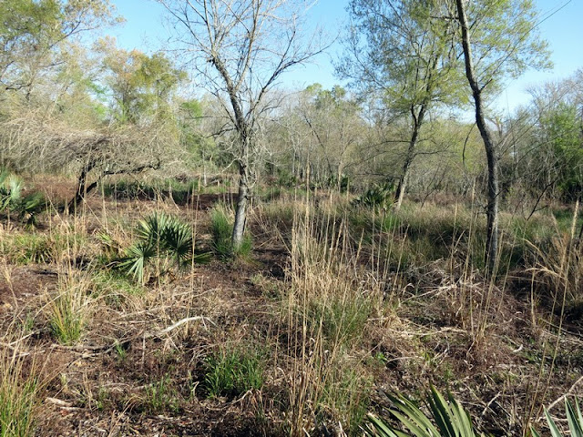 Armand Bayou Nature Center Armand Bayou Nature Center