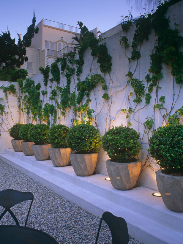 fotos jardins lindos:Topiary Gardens with Container fotos jardins lindos:Topiary Gardens with Container