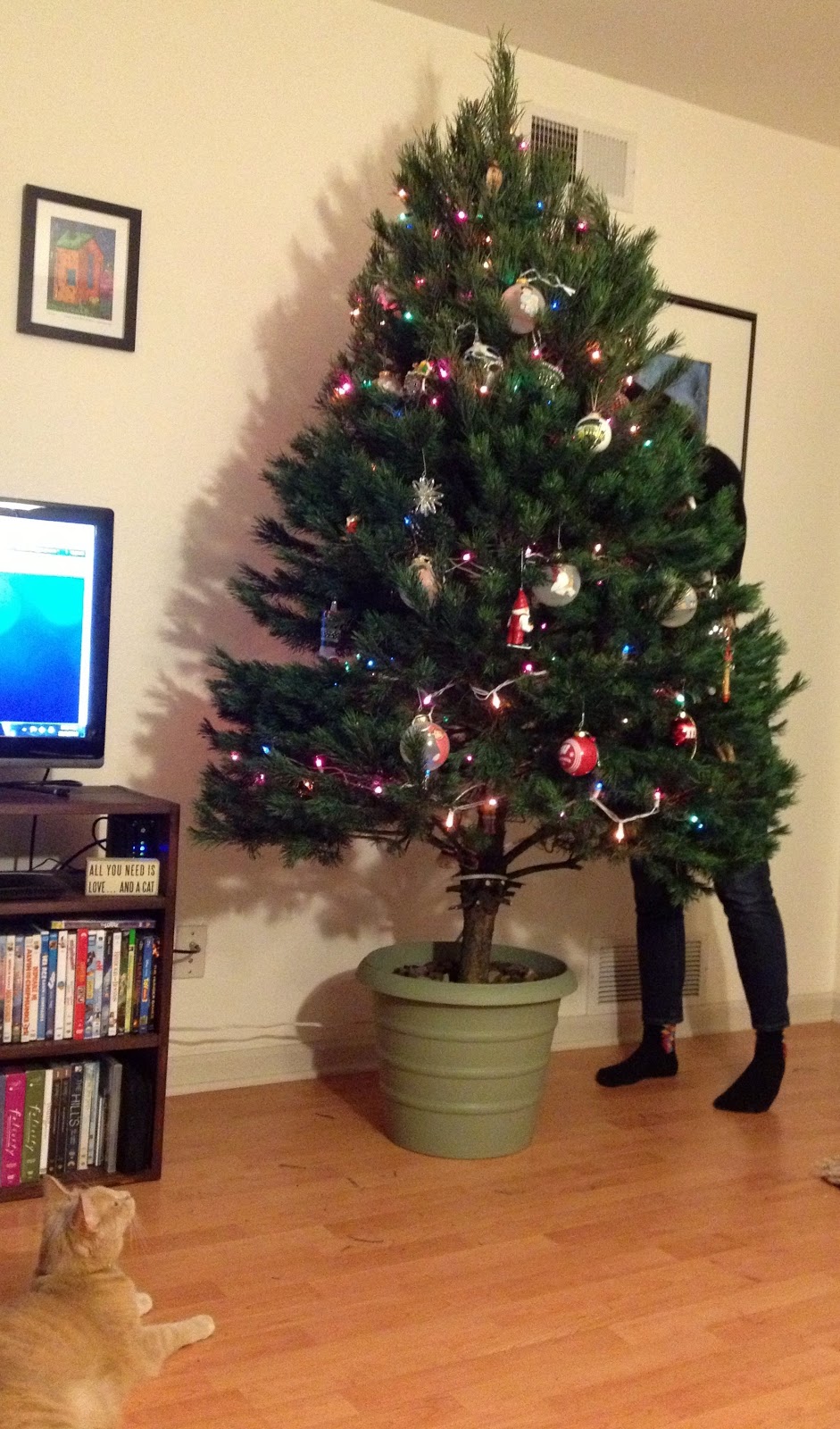 The Modern DIY Life: DIY Christmas Tree Stand