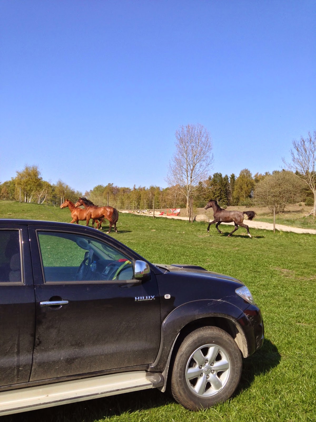Stall lilja: april 2014