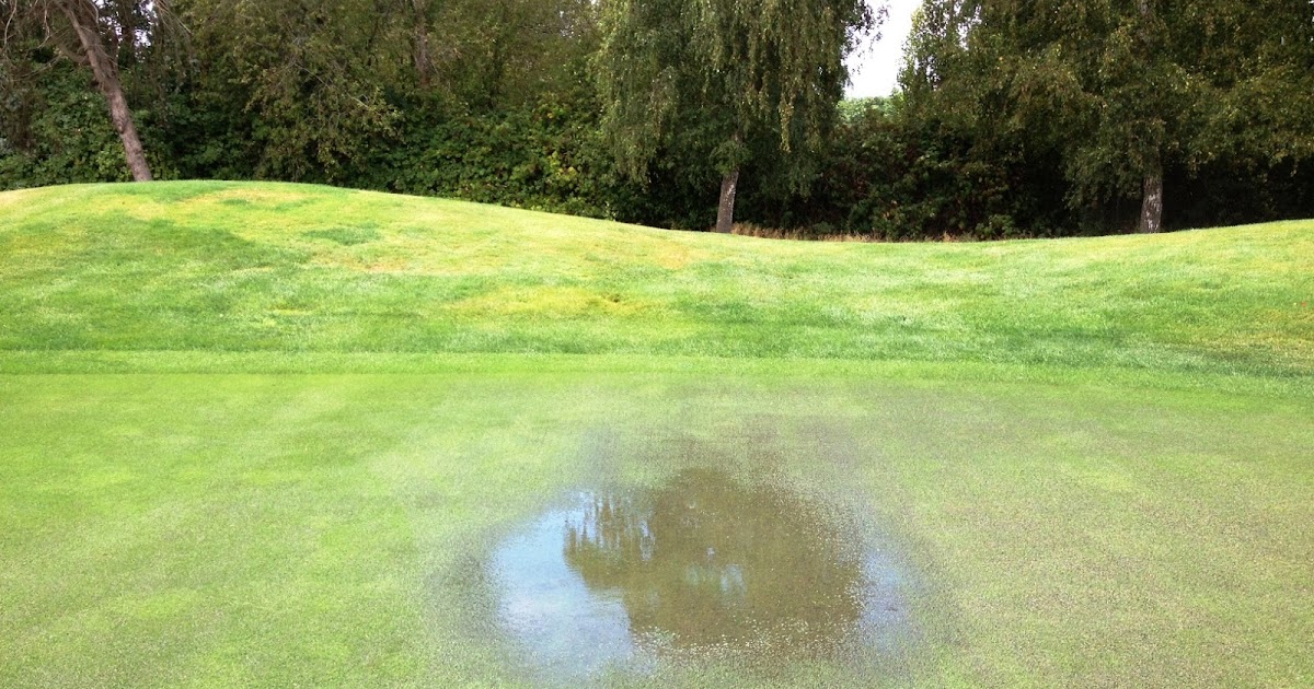 Quilchena Golf Club Turf Care Saturated Greens What's the big deal?