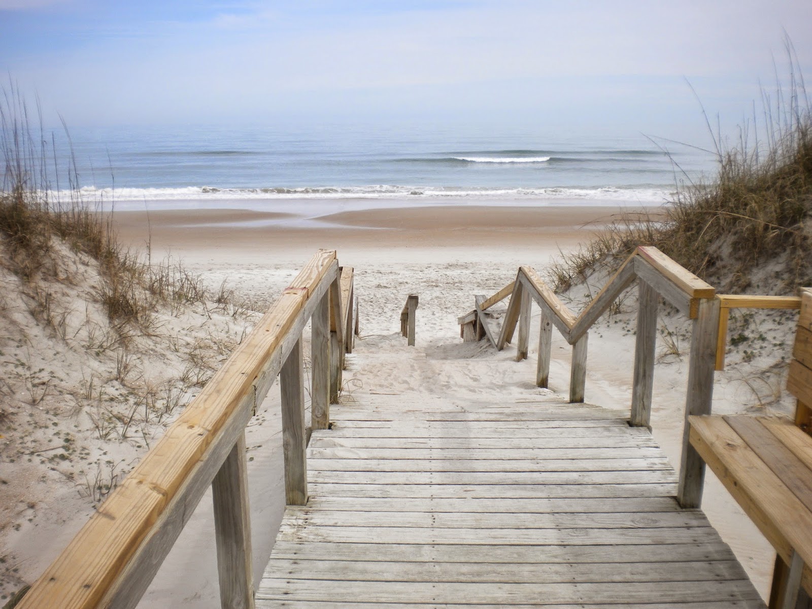 Blaine's Barks Williamston, NC To North Topsail Beach, NC and The Surf City Family CG