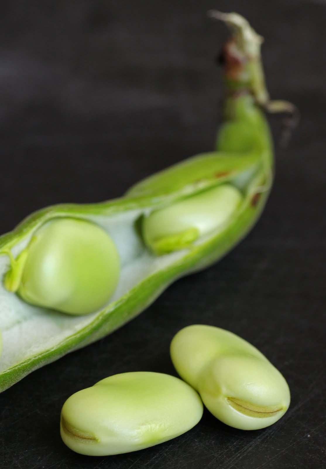 The Cilantropist Smashed Peas and Fava Beans with Fresh Mozzarella