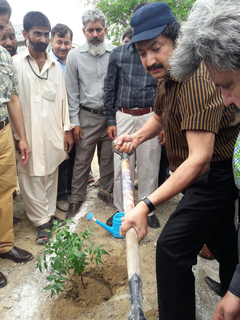 Plantation Begins From Home