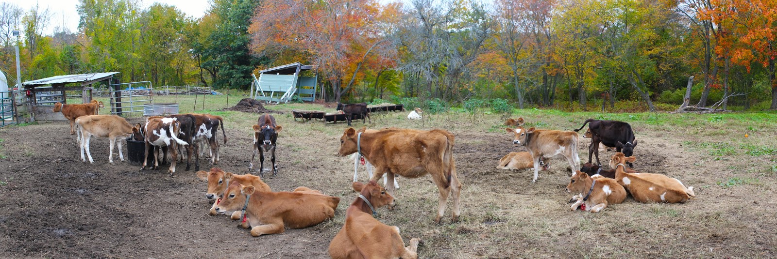 FRAMINGHAM MATTERS Serenity at Eastleigh Farm