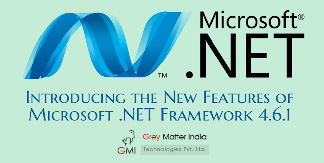 .NET Framework Version 4.6.1 