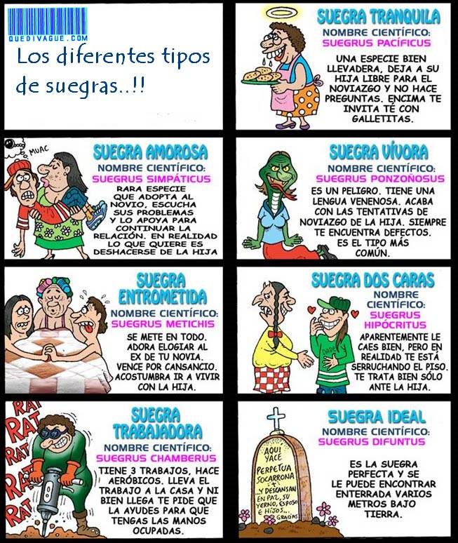 limonchiflado