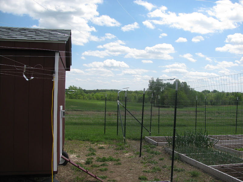 The Harried Homemaker Preps Our Homestead in Pictures, MidApril Edition