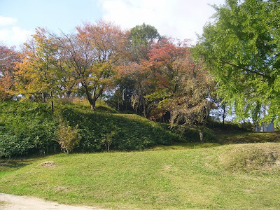 大阪府交野市・大阪市立大学 理学部付属 植物園