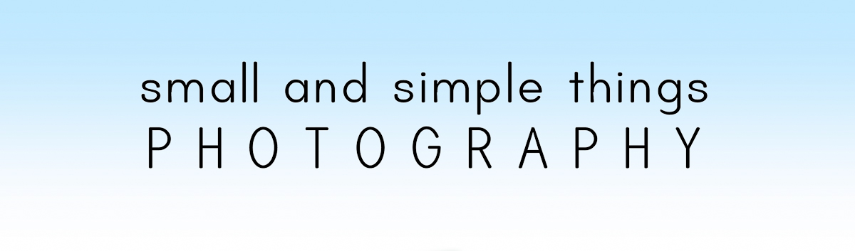 Small and Simple Things Photography