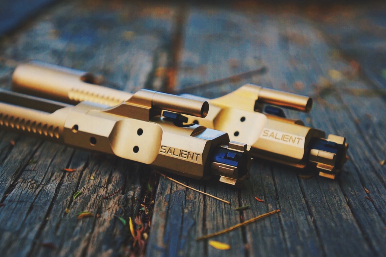 Salient Arms International TiN Bolt Carrier Group quite possibly the