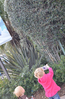 Little girl taking a picture 