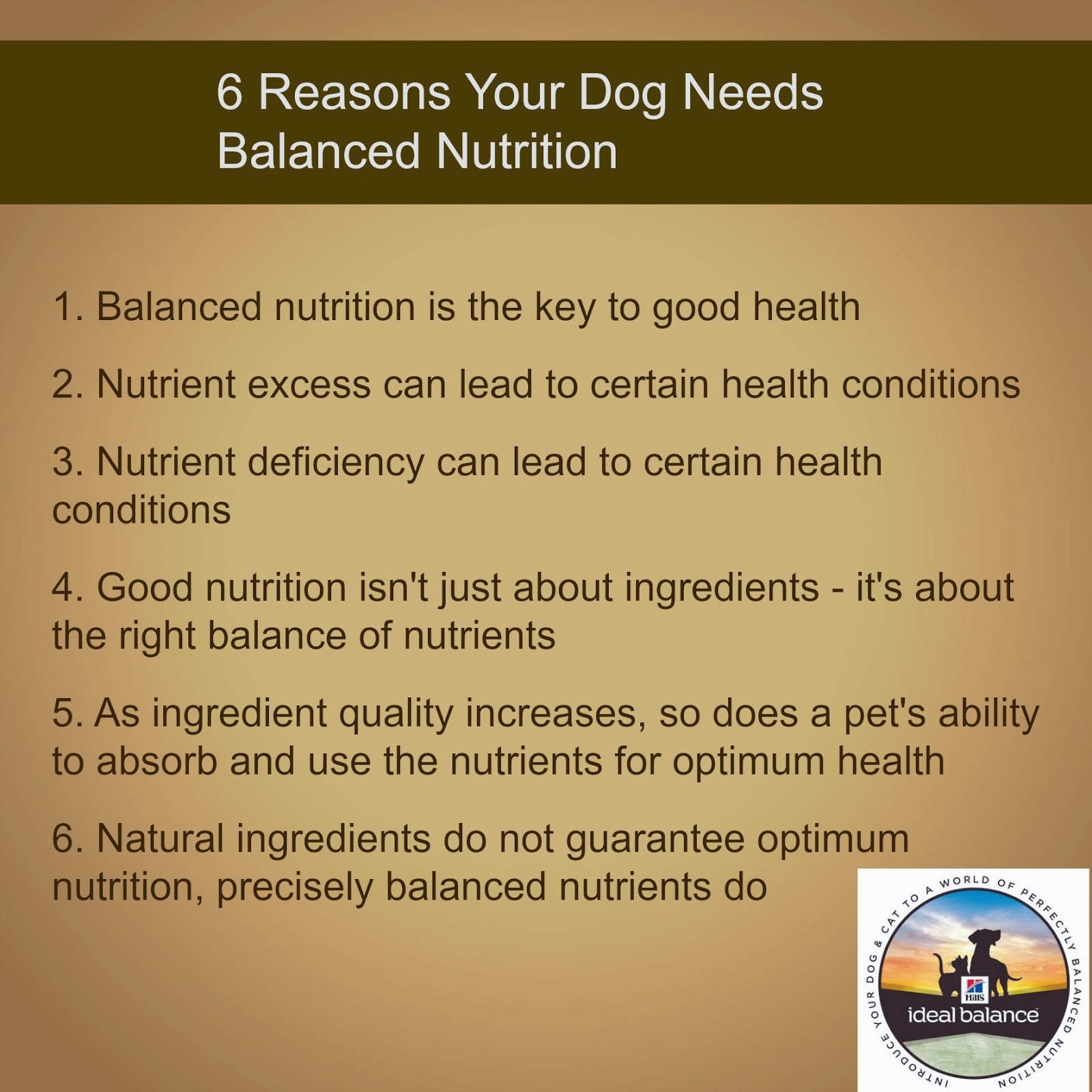 To Dog With Love 6 Reasons Your Dog Needs Balanced Nutrition