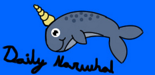 The Daily Narwhal (Narwhals... AWESOME right?)