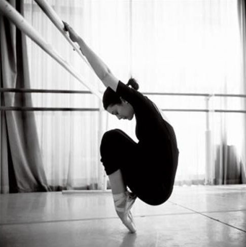 sistema muscolare umano riassunto