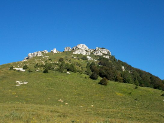 Paesaggio attorno a Malga Bes