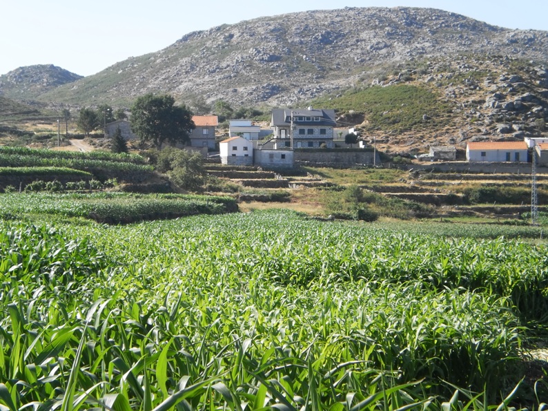 Casas de imigrantes na aldeia de Gestoso