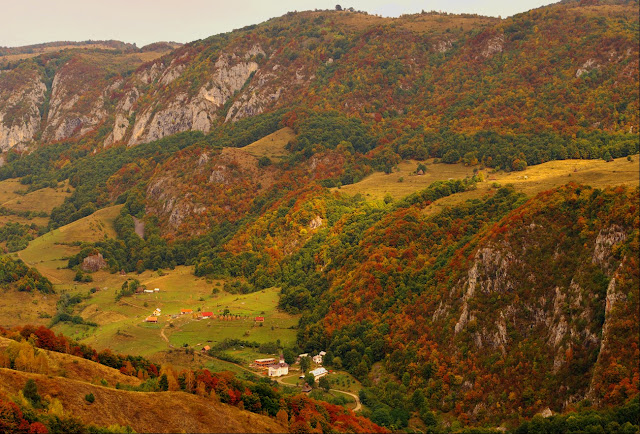 Rezervaţia Vânătările Ponorului poze frumoase toamna autumn image 