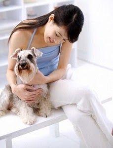 First Signs of Dog Pregnancy first signs dog pregnancy