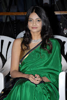 Its My Love Story Movie Audio Launch