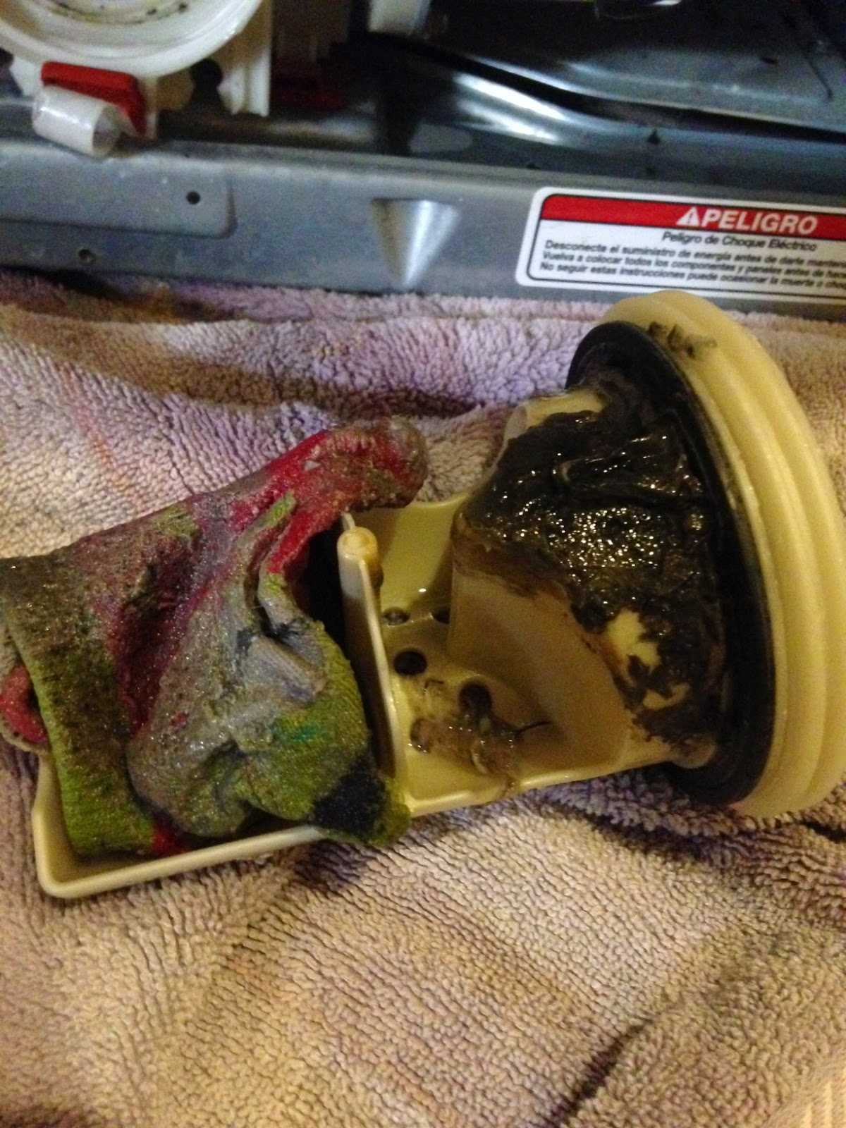 Renaissance Dad My Front Load Washer Smells Bad How To Save a Service Call